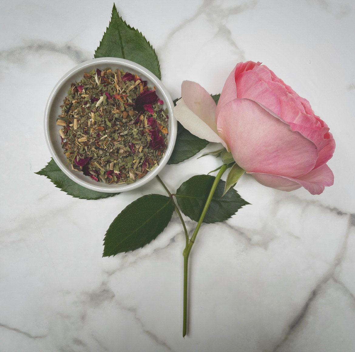 Small Tin - Organic Elderberry Green Tea – Kait & Crowne Collections