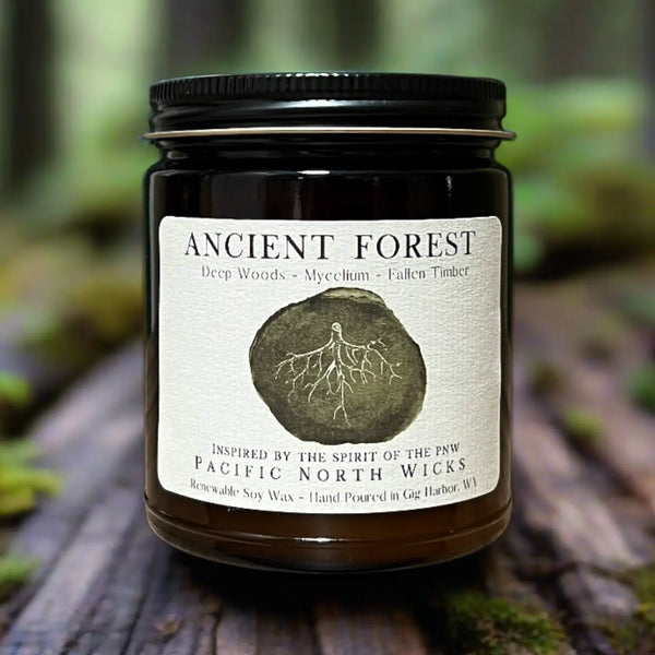 Ancient Forest Soy Candle