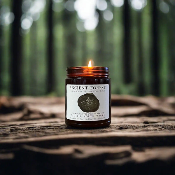 Ancient Forest Soy Candle