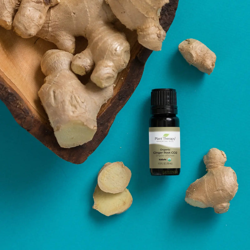 Organic Ginger Root CO2 Essential Oil