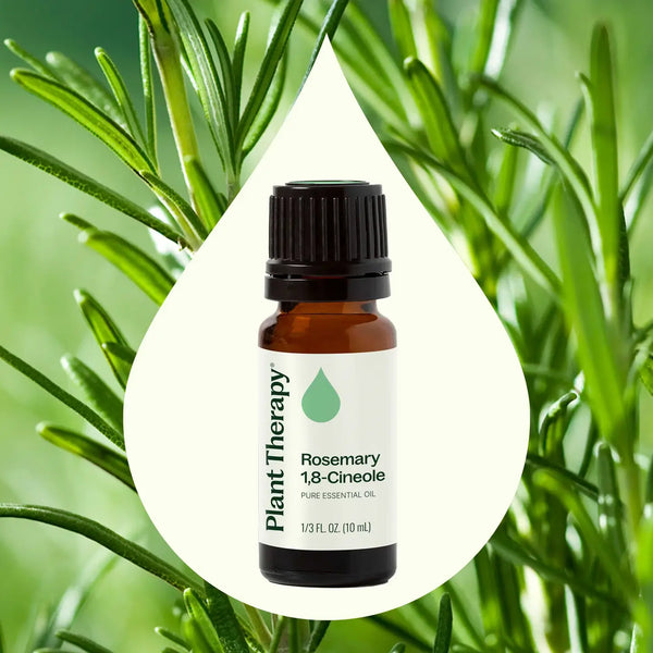 Organic Rosemary Essential Oil