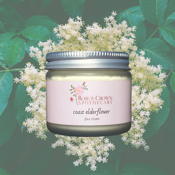 Coast Elderflower~face cream