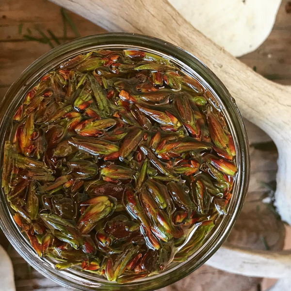 Riverbank~ritual perfume balm