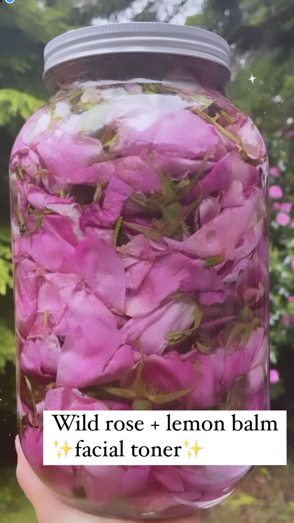 wild rose + lemon balm -seasonal facial toner